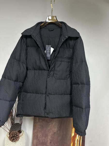 2025年11月17日秋冬新作Dior ダウンジャケット高品質人気商品/QIU工場