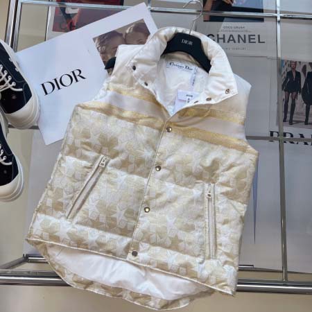 2025年11月21日入荷秋冬新作Diorファッション/誕生日プレゼント/贈り物 can工場