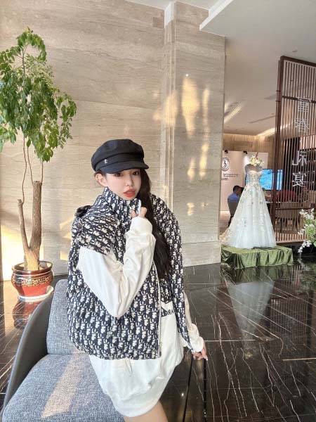 2025年11月23日入荷秋冬新作Diorダウンベストファッション/誕生日プレゼント/贈り物 can工場