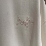 2025年11月11日秋冬新作ARCTERYXtシャツ超厳選★入手困難人気商品/LDF工場