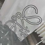 2025年11月12日秋冬新作Loewe半袖 tシャツ人気商品/LDF工場