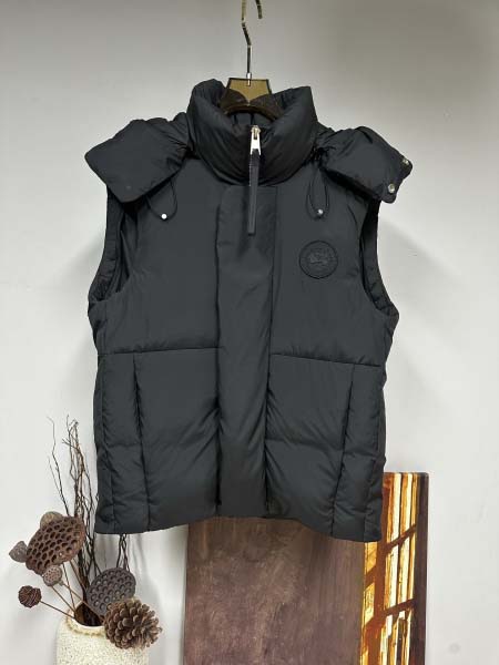 2025年11月17日秋冬新作Can-ada gooseダウ...