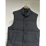 2025年11月17日秋冬新作Dior ダウンベスト高品質人気商品/QIU工場