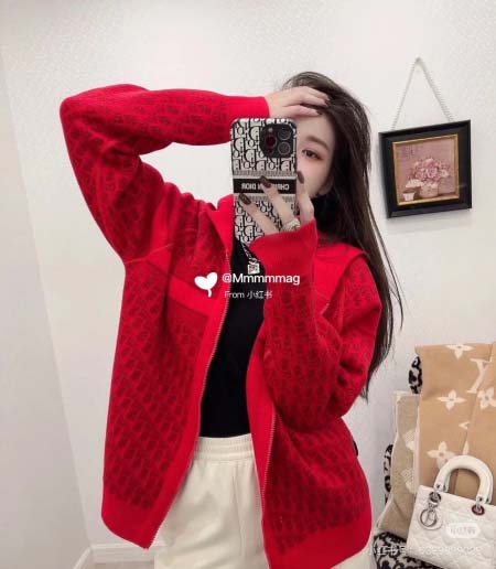 2025年11月18日入荷秋冬新作Dior ウール パーカー...