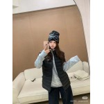 2025年11月18日入荷秋冬新作ARCTERYX ダウンベスト ファッション/誕生日プレゼント/贈り物 can工場