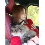 2025年11月18日入荷秋冬新作Thom Browneファッション/誕生日プレゼント/贈り物 can工場