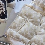 2025年11月21日入荷秋冬新作Diorファッション/誕生日プレゼント/贈り物 can工場