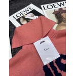 2025年11月21日入荷秋冬新作Diorファッション/誕生日プレゼント/贈り物 can工場