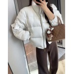 2025年11月23日入荷秋冬新作Diorダウンジャケットファッション/誕生日プレゼント/贈り物 can工場