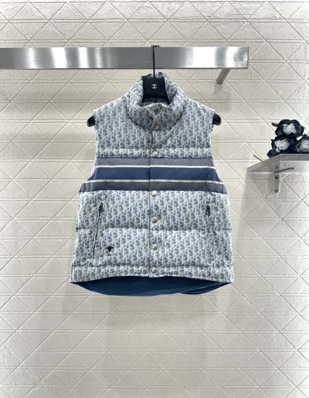 2025年11月23日入荷秋冬新作Diorダウンジャケットフ...