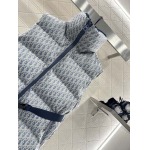 2025年11月23日入荷秋冬新作Diorダウンジャケットファッション/誕生日プレゼント/贈り物 can工場