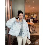 2025年11月23日入荷秋冬新作Louis Vuittonダウンジャケットファッション/誕生日プレゼント/贈り物 can工場