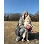 2025年11月23日入荷秋冬新作miumiu 帽子 ファッション/誕生日プレゼント/贈り物 can工場