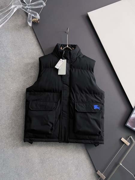 2025年11月24日入荷秋冬新作Burberryダウンジャ...