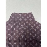 2025年11月30日秋冬新作ルイヴィトンダウンジャケット高品質人気商品/LDF工場