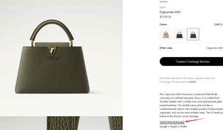 2025年12月10日入荷Louis Vuitton バッグ高品質新作/誕生日プレゼント/ZC工場