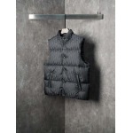 2025年12月1日秋冬新作DIORダウンベスト高品質人気商品/LDF工場