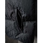 2025年12月1日秋冬新作DIORダウンベスト高品質人気商品/LDF工場