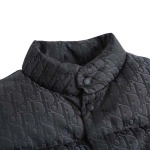 2025年12月1日秋冬新作Dior ダウンベスト高品質人気商品/LDF工場
