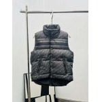 2025年12月4日秋冬新作Dior ダウンベスト高品質人気商品/LDF工場