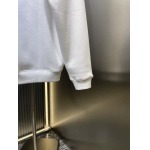 2025年12月4日秋冬新作DIORスウェット高品質人気商品/LDF工場