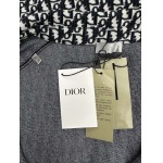 2025年12月5日秋冬新作Dior  シャツ高品質人気商品/LDF工場