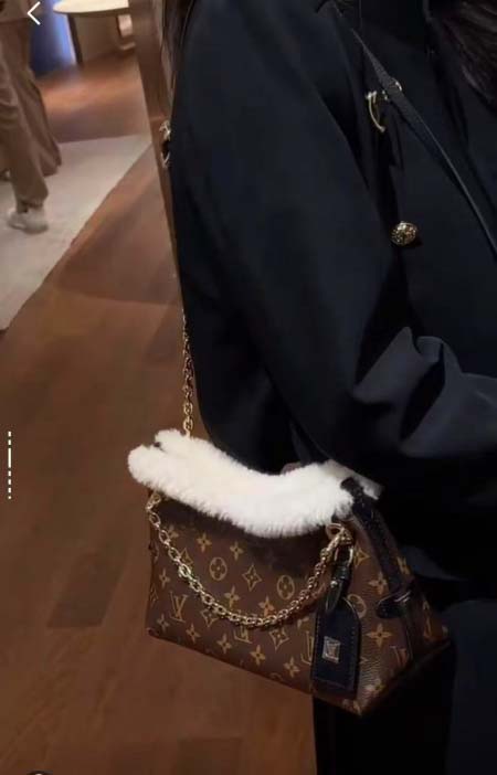 2025年12月10日入荷Louis Vuitton バッグ...