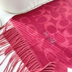 2025年12月11日入荷新品COACHマフラーギフト/誕生日/記念品/アクセサリーkaka工場