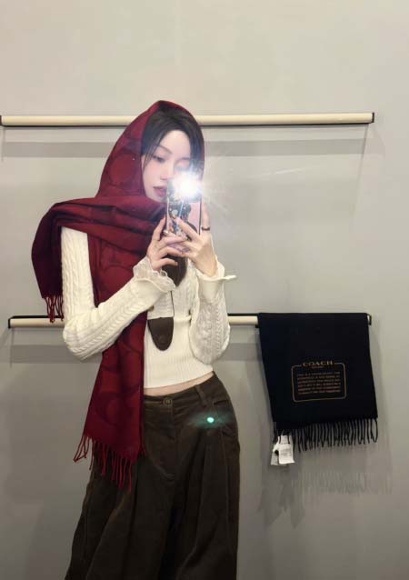 2025年12月11日入荷新品Coachマフラーギフト/誕生...