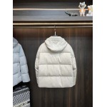 2025年12月16日入荷新作LPダウンジャケット秋冬高品質/人気/ASB工場