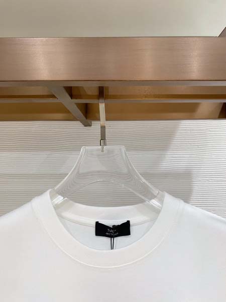 2026年5月28日入荷春夏新作ARCTERYX半袖 tシャツ高品質DH工場