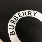 2026年5月15日春夏入荷新作BURBERRY半袖 tシャツ人気商品/FX工場