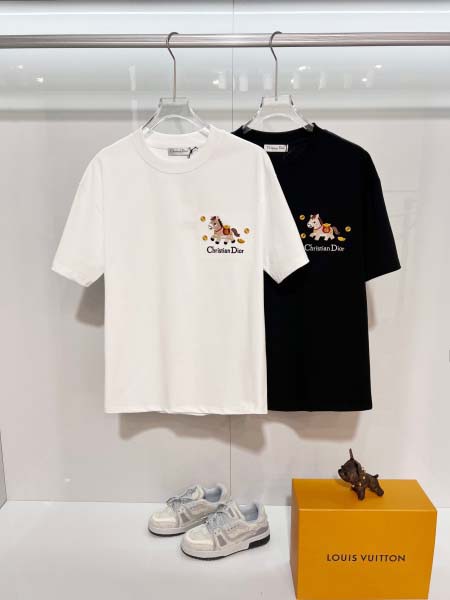 2026年6月22日春夏新作DIOR半袖 tシャツ高品質人気の商品/YGY工場
