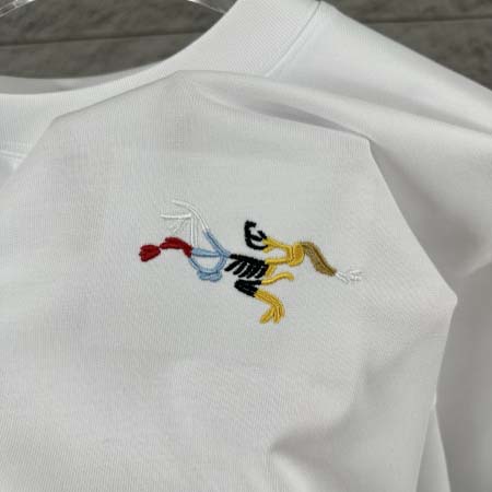 2026年6月25日春夏新作ARCTERYX半袖 tシャツ高品質人気の商品/YGY工場