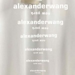 2026年6月16日春夏新作Alexander Wang半袖 tシャツ原版復刻人気で【极品】/YGY工場