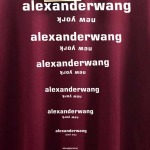 2026年6月16日春夏新作Alexander Wang半袖 tシャツ原版復刻人気で【极品】/YGY工場