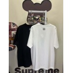 2026年6月18日春夏新作LOEWE半袖 tシャツ高品質人気の商品/YGY工場