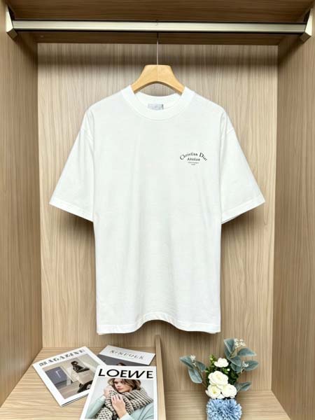 2026年6月23日春夏新作DIOR半袖 tシャツ高品質人気...