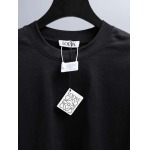 2026年6月25日春夏新作Loewe半袖 tシャツ高品質人気の商品/YGY工場
