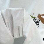 2026年6月25日春夏新作Loewe半袖 tシャツ高品質人気の商品/YGY工場