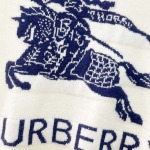 2026年10月20日秋冬Burberry新作厚いセーター高品質 人気商品 /TY工場