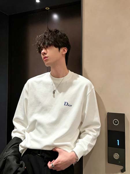 2026年10月26日入荷秋冬新作Dior長袖Tシャツ高級品...