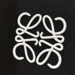 2026年10月26日入荷秋冬新作LOEWE半袖Tシャツ高級品/LD工場